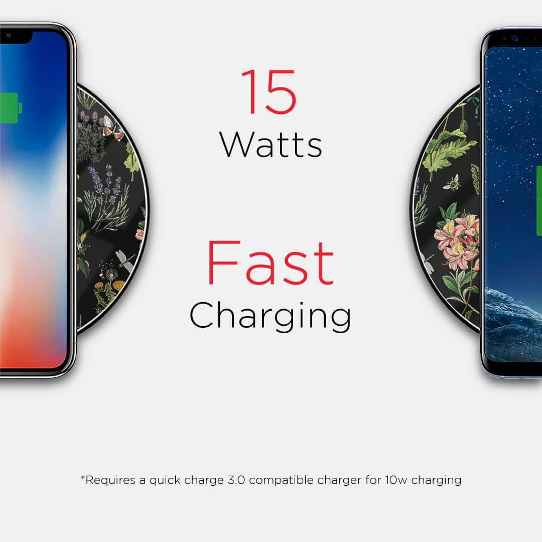 Payal Singhal Titli Black Wireless Charger 15w Glass | Macmerise