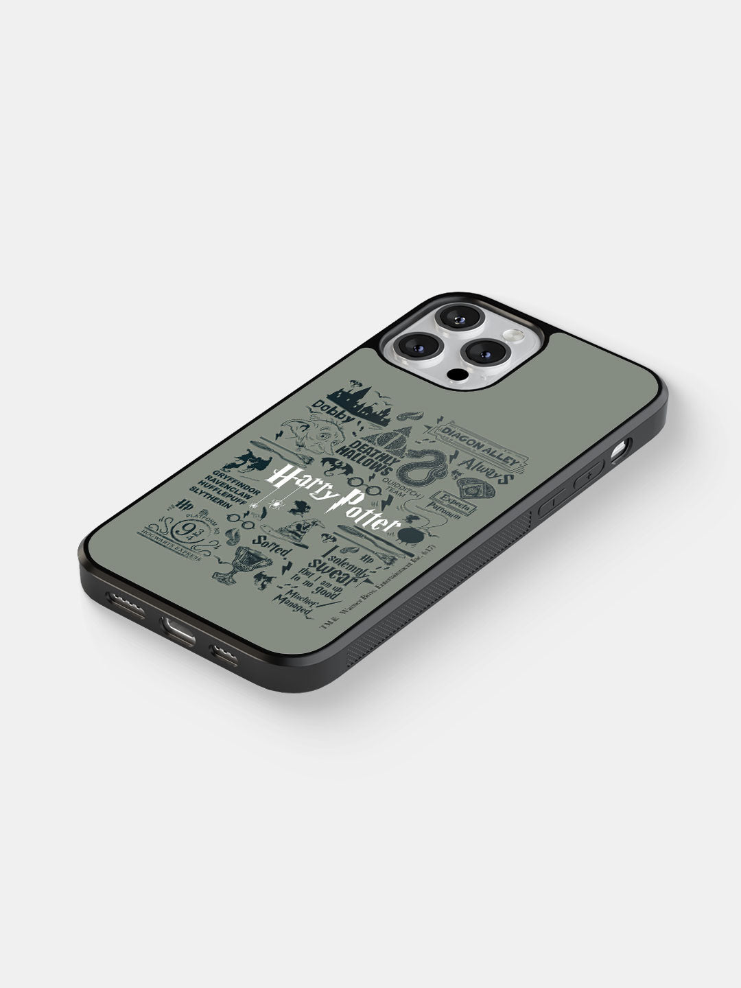 Harry Potter Infographic Grey - iPhone 13 Pro Max Cover