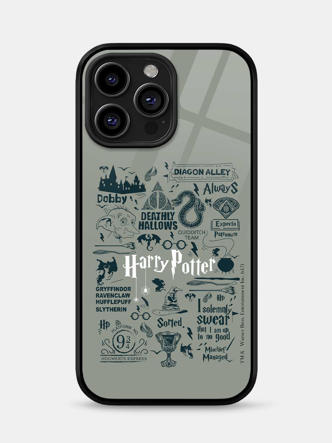 Harry Potter Infographic Grey - iPhone 13 Pro Glass Cover