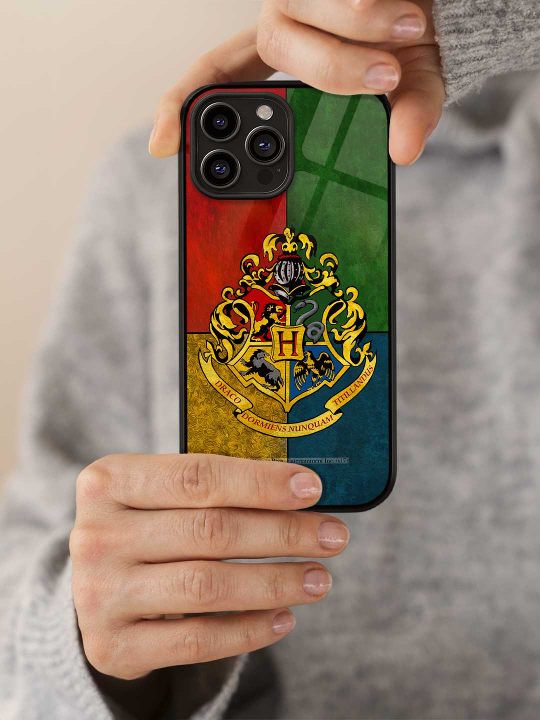 Hogwarts Sigil United - iPhone 14 Pro Glass Cover