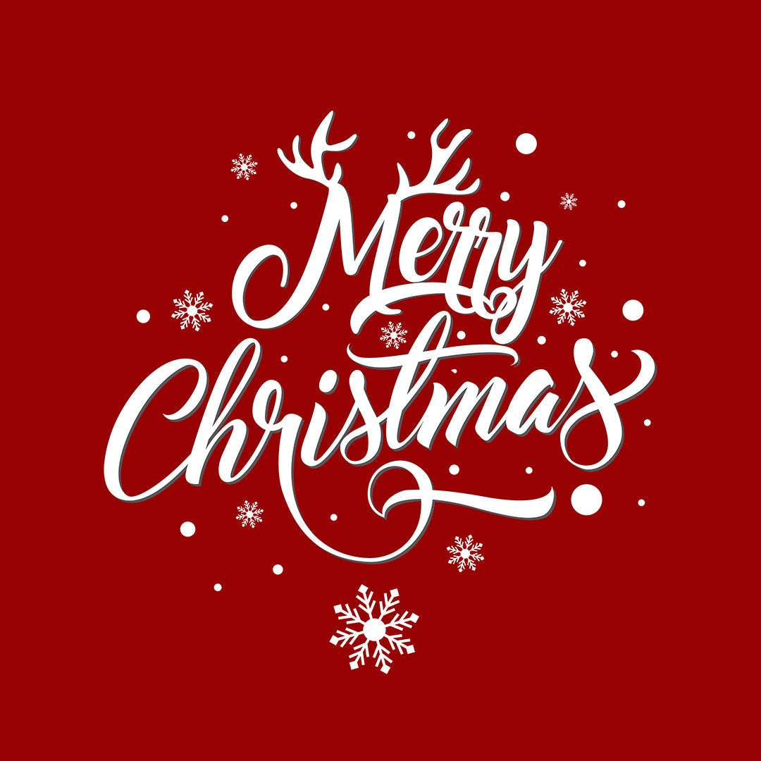 Merrychristmas Womens T-Shirt | Macmerise