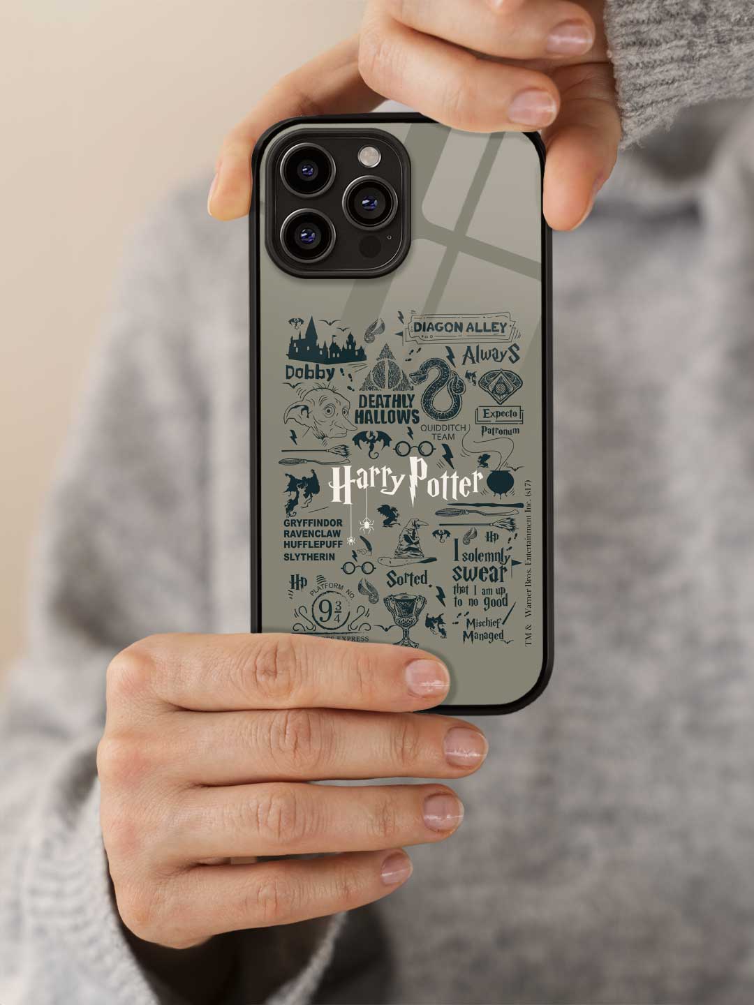 Harry Potter Infographic Grey - iPhone 14 Pro Max Glass Cover